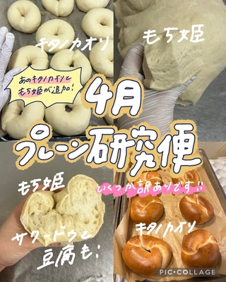 ★Kセット★5/3までに発送【プレーン研究便🥯※訳ありお値引き】(+クール送料)