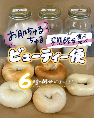 ★Kセット★10/15までに発送【変態酵母研究❗️お肌ちゅるちゅるビューティ便🥯】(+クール送料)