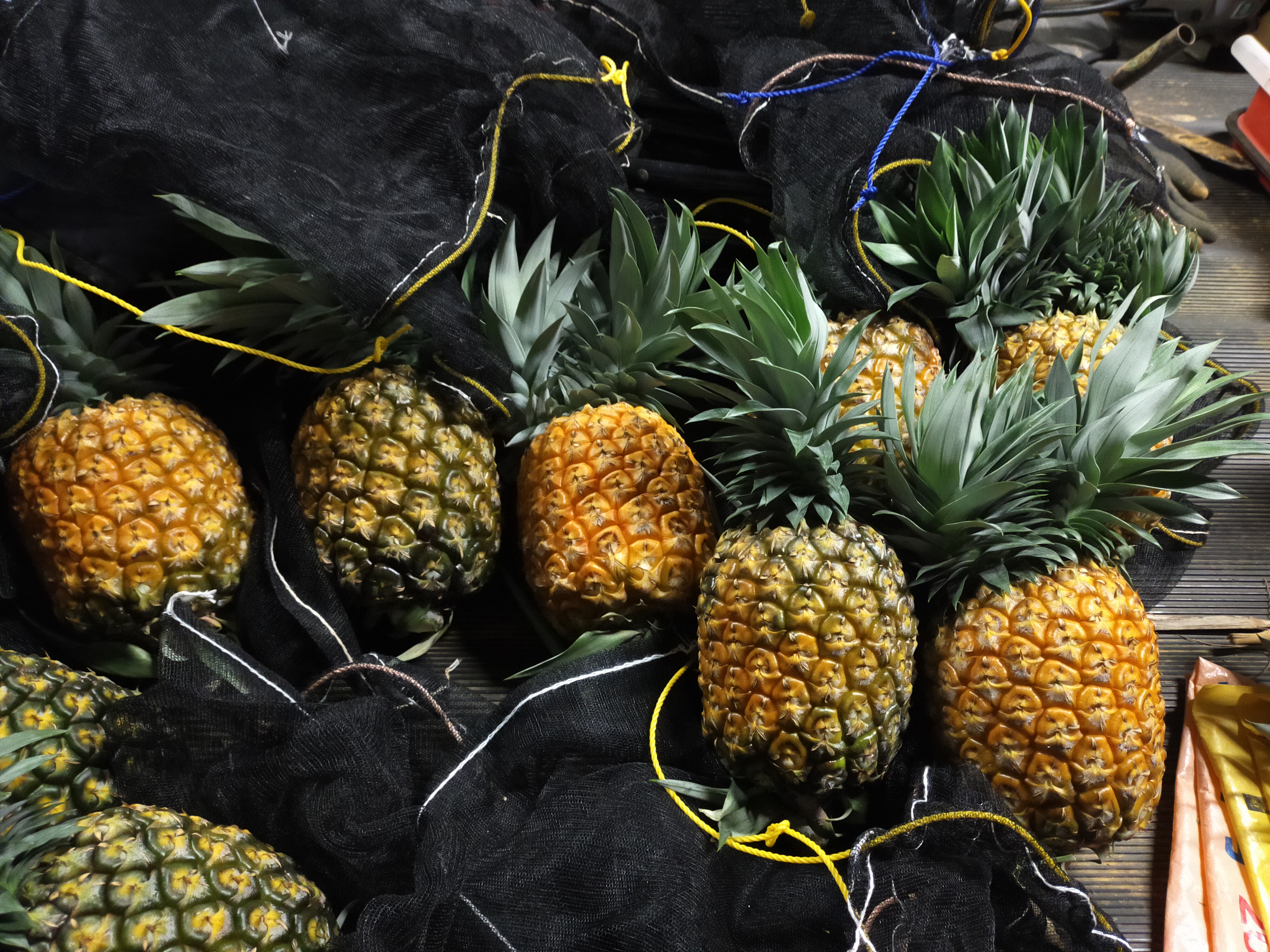 ゴールドバレル