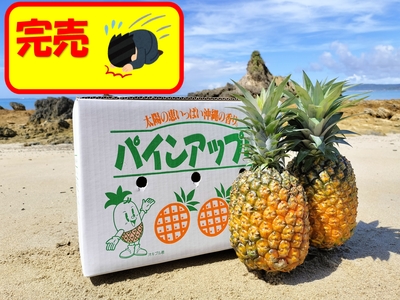 ゴールドバレル 約9kg（5玉～6玉）【送料別】