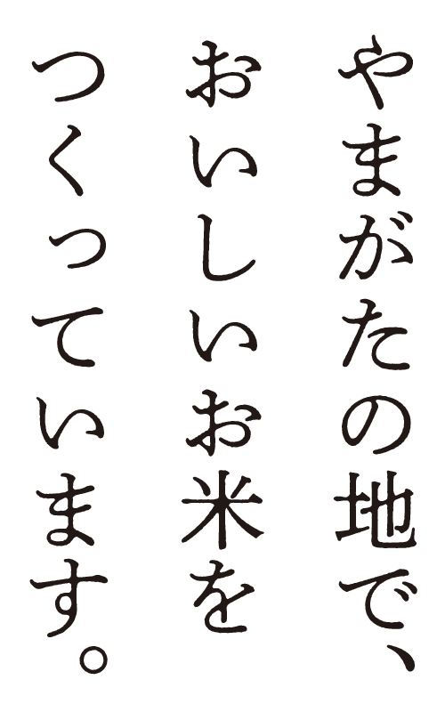 やまがたの地で、おいしいお米をつくっています。