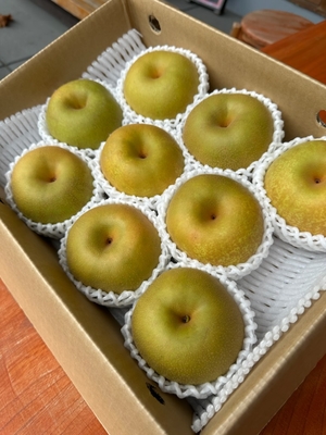 梨３Ｋ箱　品種おまかせ（幸水　又は　豊水）8～11玉入