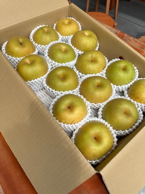梨５Ｋ箱　品種おまかせ（幸水　又は　豊水）１２～１６玉入
