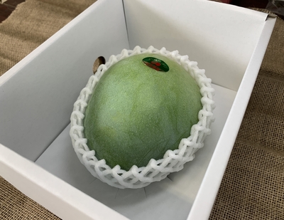 宮古島産キーツマンゴー3玉（約2㎏）【8月上旬～順次発送