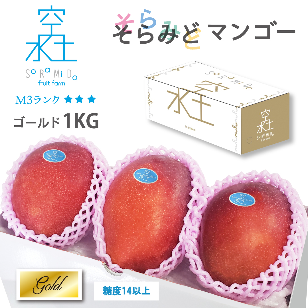 そら❤️ 超希少　特大　台湾金蜜マンゴー苗木 台湾産 空輸アップルマンゴー5kg 】お得なご家庭用♪夏季期間限定