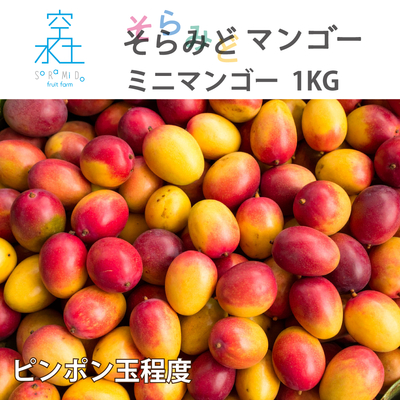 空水土フルーツファームショッピングサイト