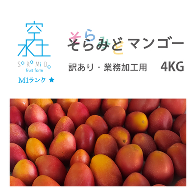 訳あり品・業務加工用4kg【送料無料】