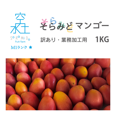 訳あり品・業務加工用1kg【送料無料】
