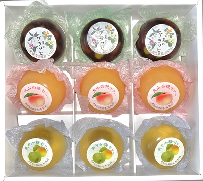 ぜいたくゼリー詰合せ9個入り