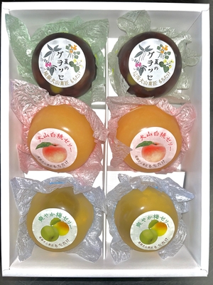 ぜいたくゼリー詰合せ6個入