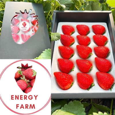 新鮮朝採れ　贈答用　プレミアムとちあいか　厳選15粒　