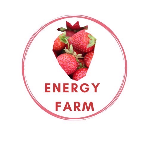 エナジーファーム