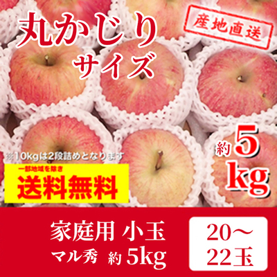 りんご　サンふじ　12月上～中旬発送予定　家庭用　マル秀　パック詰またはキャップ詰め　丸かじりサイズ　約5k（20～22玉）