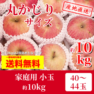 りんご　サンふじ　12月上～中旬発送予定　家庭用　マル秀　パック詰またはキャップ詰め　丸かじりサイズ　約10k（40～44玉）