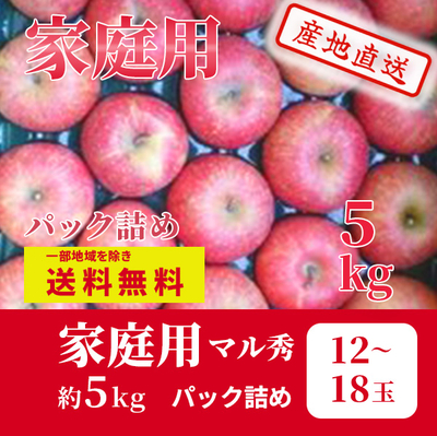 りんごりんご　サンふじ　12月上～中旬発送予定　家庭用　マル秀　パック詰　約5k（12～18玉）