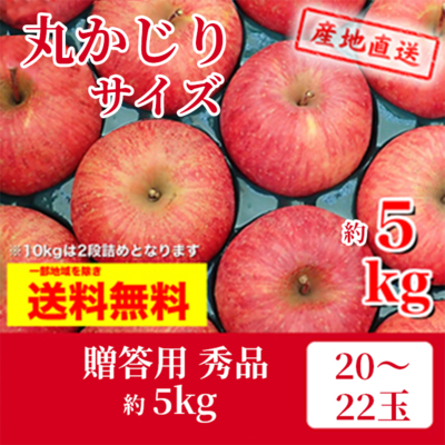 りんご　サンふじキャップ詰め　丸かじりサイズ　贈答用　秀品　約5k（20～22玉）