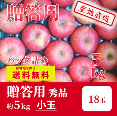 りんご　サンふじ　12月上～中旬発送予定　贈答用　秀　パック詰　小玉　約5k（18玉）
