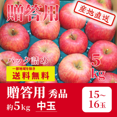 りんご　サンふじ　12月上～中旬発送予定　贈答用　秀　パック詰　中玉　約5k（15～16玉）