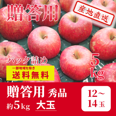 りんご　サンふじ　12月上～中旬発送予定　贈答用　秀　パック詰　大玉　約5k（12～14玉）
