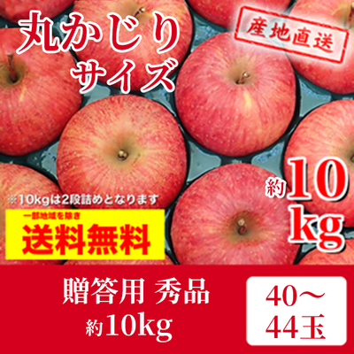 りんご　サンふじ　12月上～中旬発送予定　贈答用　秀　パックまたはキャップ詰め　丸かじりサイズ　約10k（40～44玉）