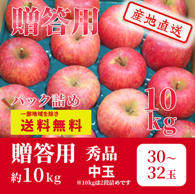 りんご　サンふじ　12月上～中旬発送予定　贈答用　秀　パック詰　中玉　約10k（30～32玉）