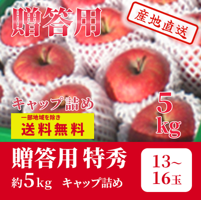 りんご　サンふじ　12月上～中旬発送予定　贈答用　特秀　キャップ詰め 　約5k（13～16玉）