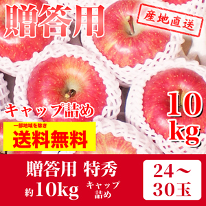 りんご　サンふじ　12月上～中旬発送予定　贈答用　特秀　キャップ詰め 　約10k（24～30玉）