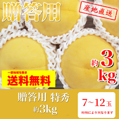 桃　黄肉種　贈答用　特秀　約3k（7～12玉）