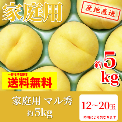 桃　黄肉種　家庭用　マル秀　約5k（12～20玉）