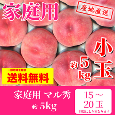 桃　極晩生種　家庭用小玉　マル秀　約5k（15～20玉）
