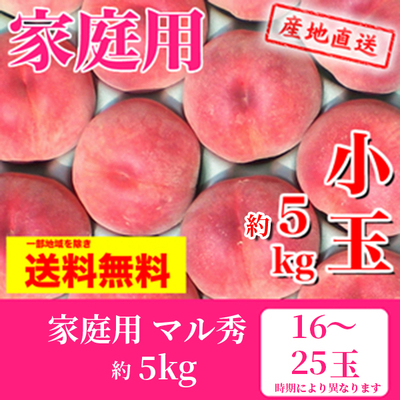桃　中生種　家庭用小玉　マル秀　約5k（16～25玉）