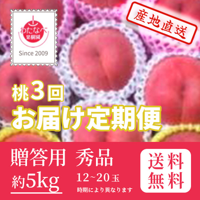桃　定期便　7月・8月・9月中お届け　贈答用　秀　約5k（12～20玉）　クール便