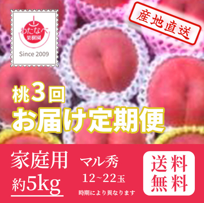 桃　定期便　7月・8月・9月中お届け　家庭用　マル秀　約5k（12～22玉）　クール便