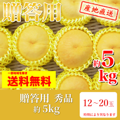 桃　黄肉種　贈答用　秀　約5k（12～20玉）