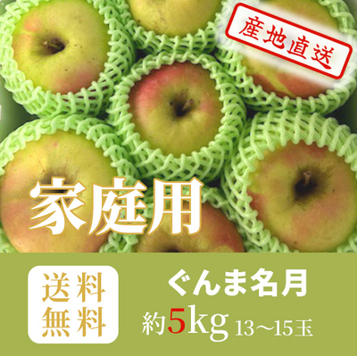 りんご　ぐんま名月　家庭用　マル秀　キャップ詰め　約5k（13～15玉）