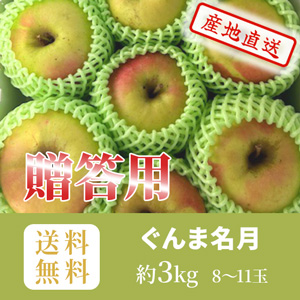 りんご　ぐんま名月　贈答用　秀　キャップ詰め　約3k（8～11玉）