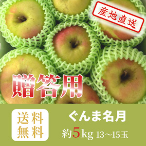 りんご　ぐんま名月　贈答用　秀　キャップ詰め　約5k（13～15玉）