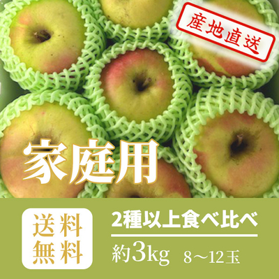 りんご　黄色・緑系りんご食べ比べ（はるか・ぐんま名月・きみと等）　家庭用　マル秀　キャップ詰め　約3k（8～12玉）