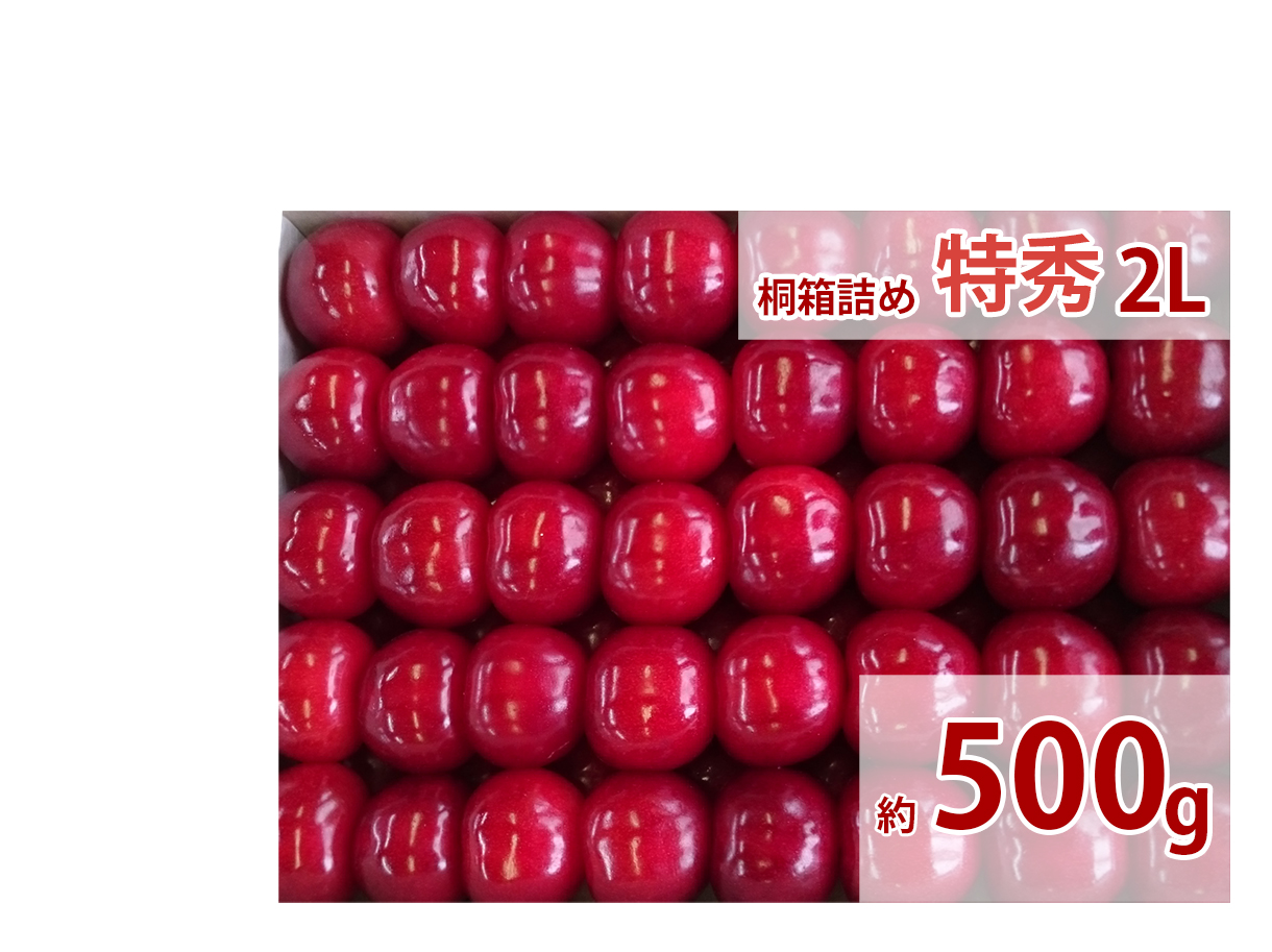 さくらんぼ 最高級品種（佐藤錦・紅秀峰） 贈答用 最高級桐箱詰め 特秀