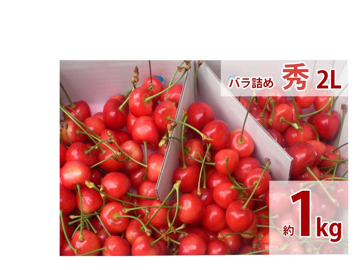 さくらんぼ 最高級品種（佐藤錦・紅秀峰） 贈答用 バラ詰め 秀 2L 1k 