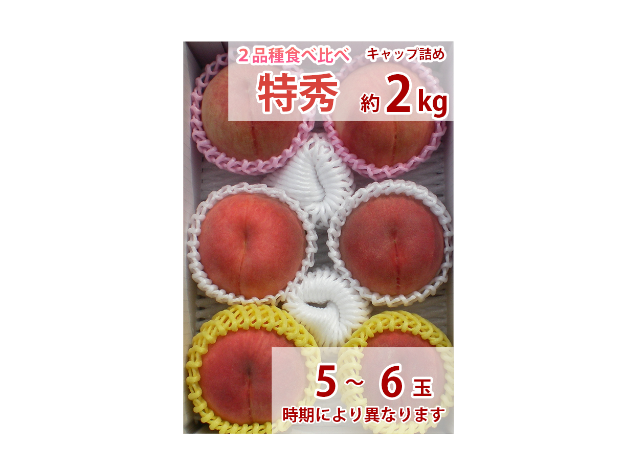 特大玉2個桃セット　ギフト用　贈答用　食べ比べセットです！ 桃 食べ比べセット 贈答用 特秀 約2k（5～6玉） | わたなべ果樹園