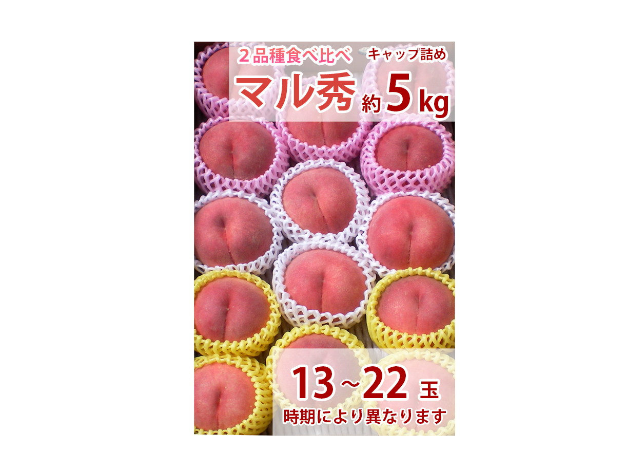 桃 食べ比べセット 家庭用 マル秀 約5k（13～22玉） | わたなべ