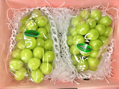 ぶどう　【A】秀品2房（シャイン）