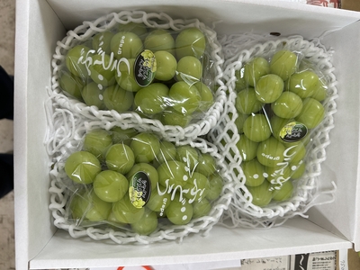 ぶどう　【B】秀品3房（シャイン）