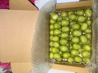 【ｸｰﾙ】ぶどう　【G】粒900g（シャイン）