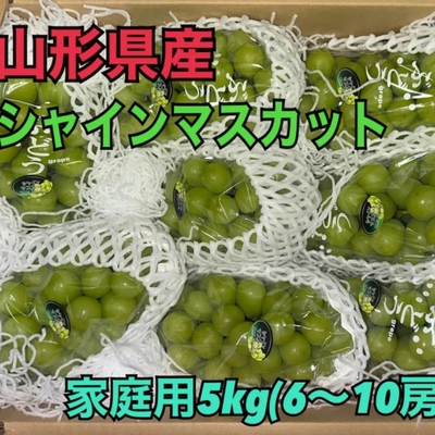 ぶどう　【F】訳アリ5kg（シャイン）