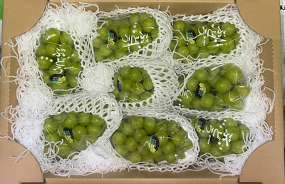 【ｸｰﾙ】ぶどう　【S】秀品5kg（シャイン）