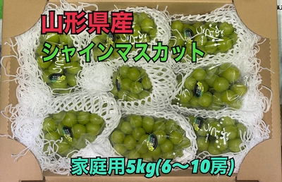 【ｸｰﾙ】ぶどう　【F】訳アリ5kg（シャイン）