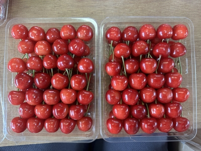 さくらんぼ　佐藤錦【B】