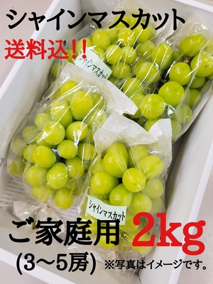 【ご家庭用】ｼｬｲﾝﾏｽｶｯﾄ２kg(送料込み)